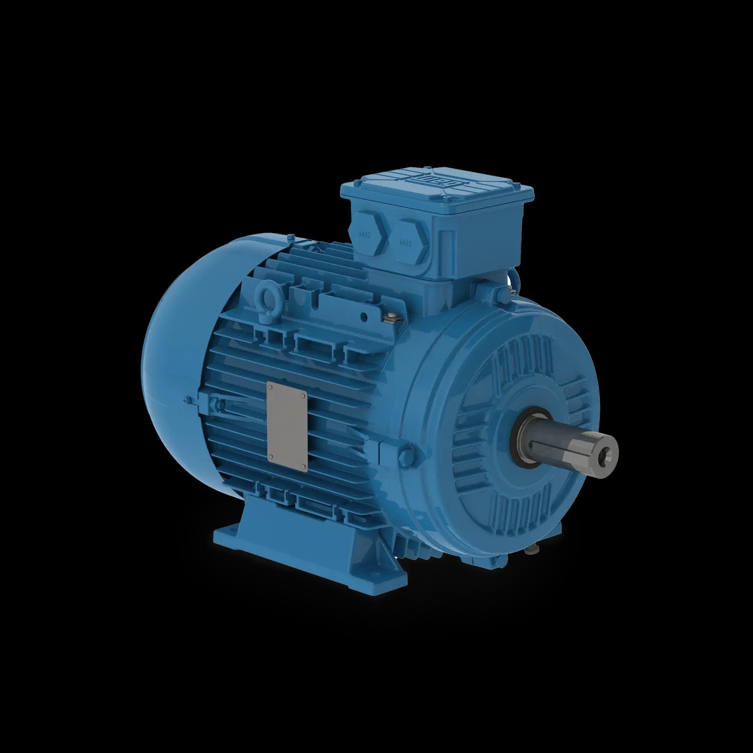 W21 aluminium motors – IE1, IE2, IE3, IE4