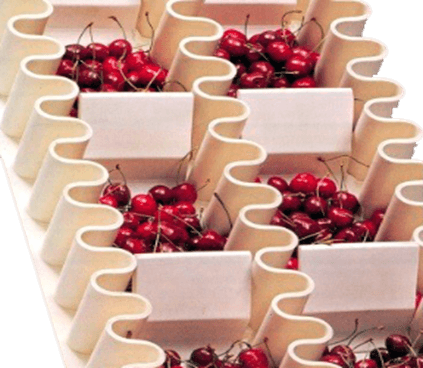 Tapetes transportadores aprovados pela FDA/USDA para a indústria alimentar